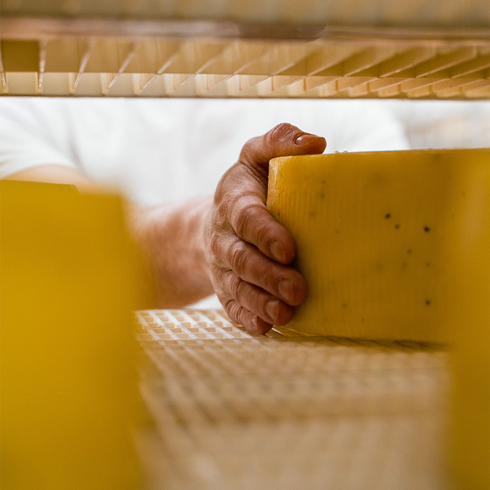 Lavoriamo con piccole realtà artigianali, selezionando le migliori forme di formaggio prodotte da esperti casari.